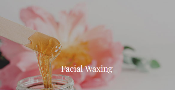 Top-Rated Facial Plastic Surgeon Montgomery County PA - FACIAL MED SPA TREATMENTS -  -  - Top-Rated Facial Plastic Surgeon Montgomery County PA - FACIAL MED SPA TREATMENTS -  -  - waxing Goldberg Facial Plastic Surgery Goldberg Facial Plastic Surgery